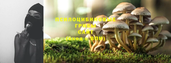 соль ск Алексеевка